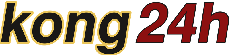 kong24h โลโก้